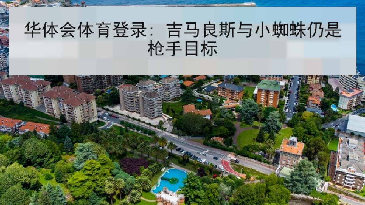 华体会体育登录: 吉马良斯与小蜘蛛仍是枪手目标